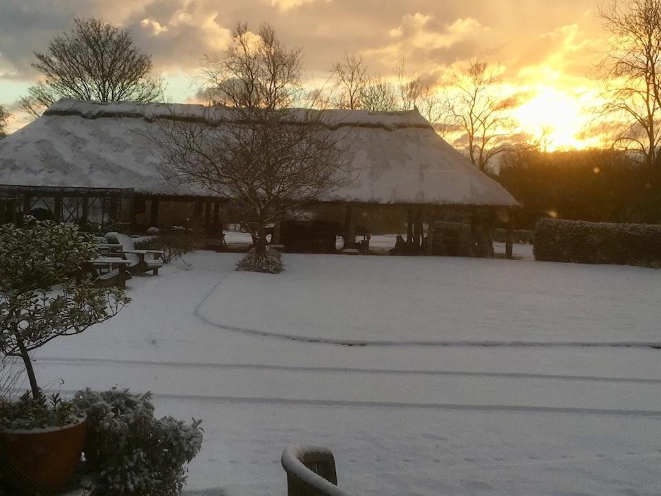 โคเทนแฮม บาร์น Bed & Breakfast South Walsham ภายนอก รูปภาพ